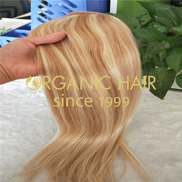 Ponytail extension hot sale in Hollywood for super stars GT18